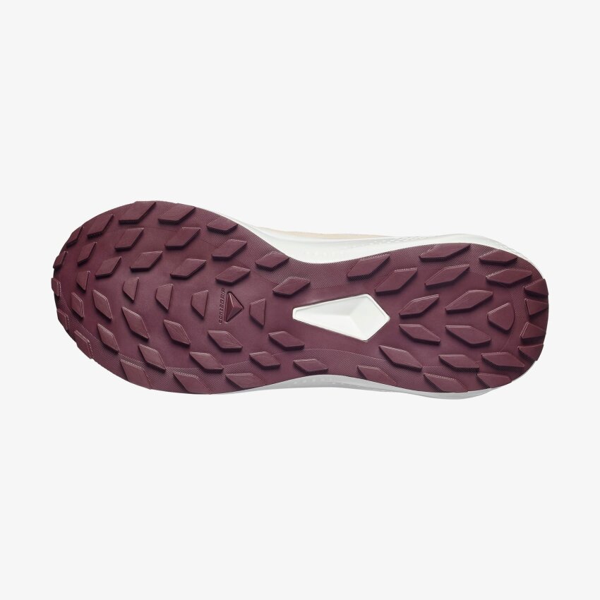 Salomon Alphaglide W Bej Kadın Koşu Ayakkabı - 6