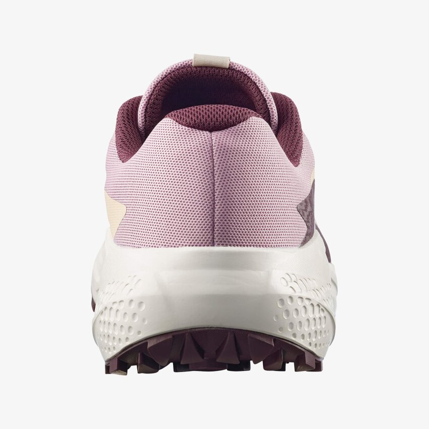 Salomon Alphaglide W Bej Kadın Koşu Ayakkabı - 5