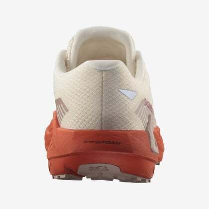 Salomon Drx Defy Grvl W Kadın Koşu Ayakkabısı - 6