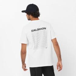 Salomon GRAPHIC PERF SS TEE M BEYAZ Erkek Tshirt - 2