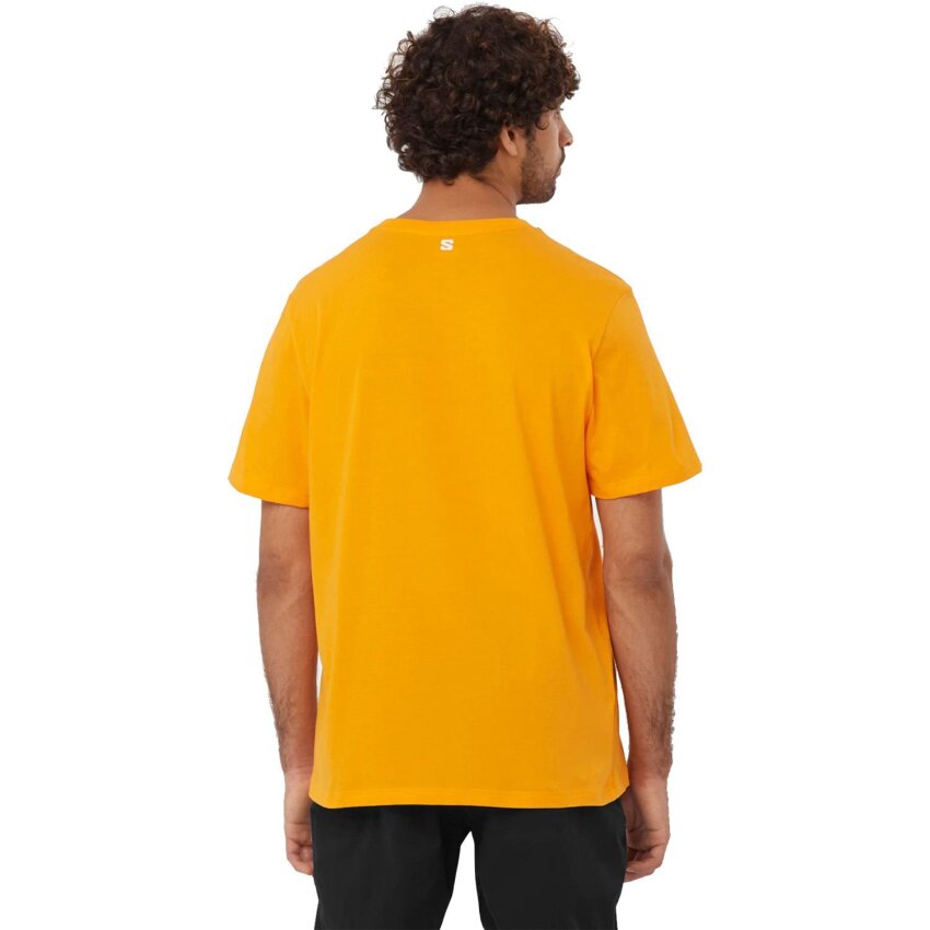 Salomon GRAPHIC SS TEE M Turuncu Erkek Tshirt - 3