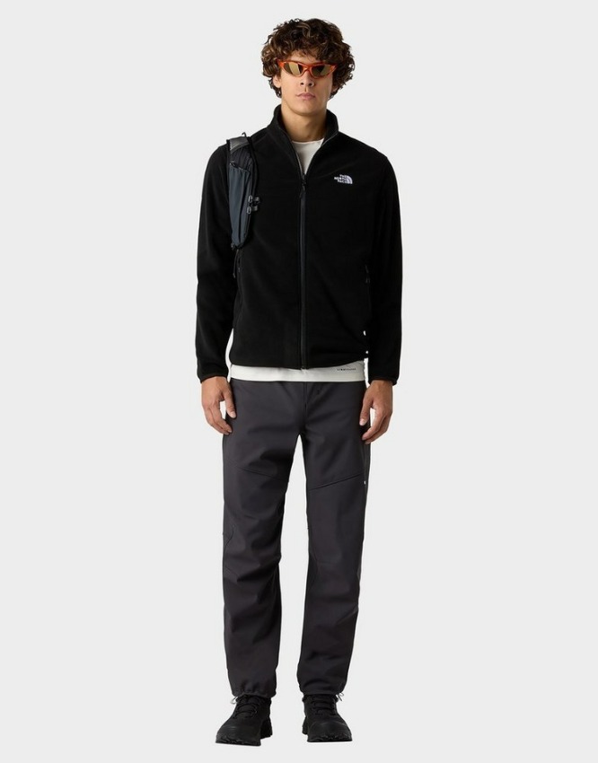 The North Face Glacier Fleece Siyah Erkek Polar - 2