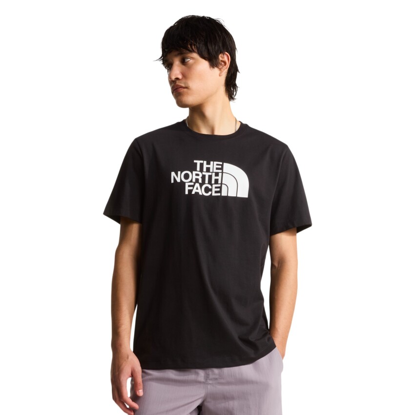 The North Face M Evolution Half Dome Regular Short Slee Siyah Erkek Tshirt - 1