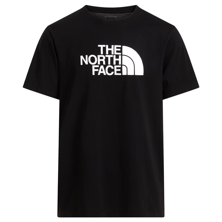 The North Face M Evolution Half Dome Regular Short Slee Siyah Erkek Tshirt - 4