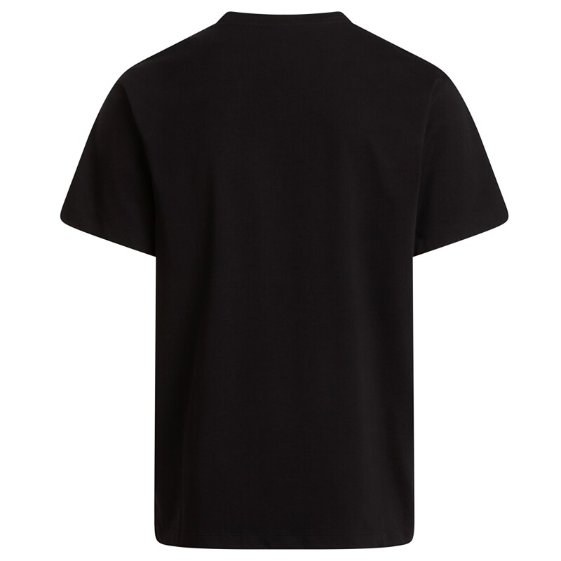 The North Face M Evolution Simple Dome Regular Short SL Erkek Tshirt - 5