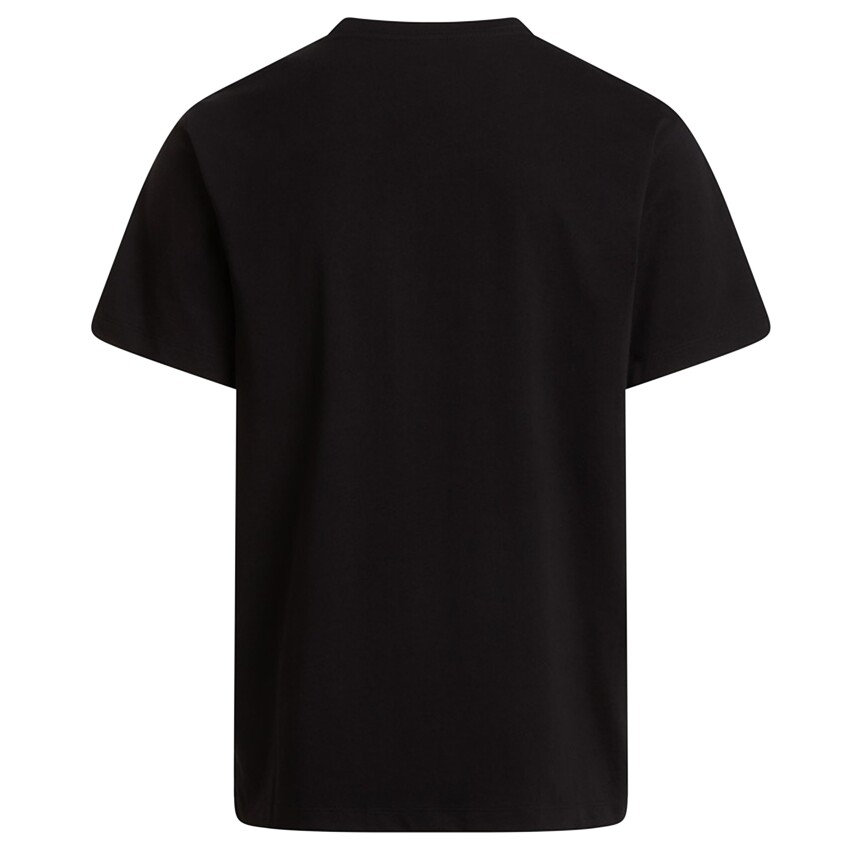 The North Face M Evolution Simple Dome Regular Short SL Erkek Tshirt - 5
