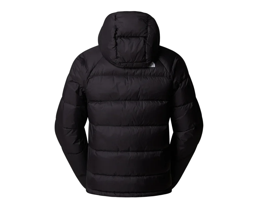 The North Face M Hydrenalite Down Hoodie SİYAH Erkek Mont - 6